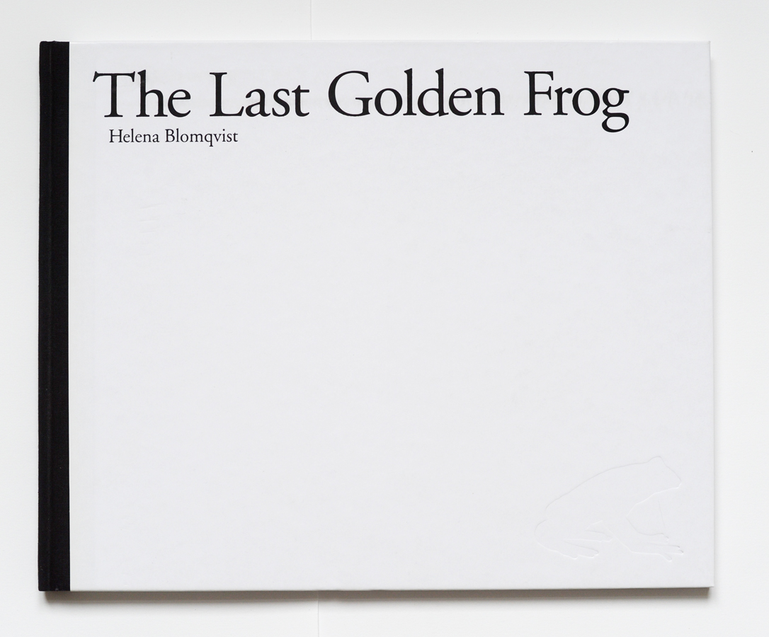 The Last Golden Frog